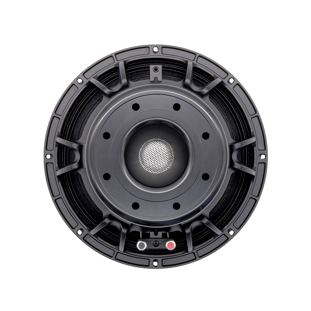 Audio & Music Settings Xbox One - 12DS 프로 오디오 장비 12인치 스피커