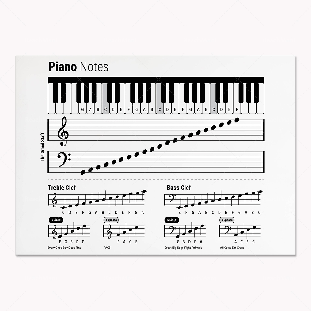 기타 이론, 피아노, 오디오 스펙트럼, 20Hz ~ 2 - Audio To Music Sheet 리뷰 및 가격